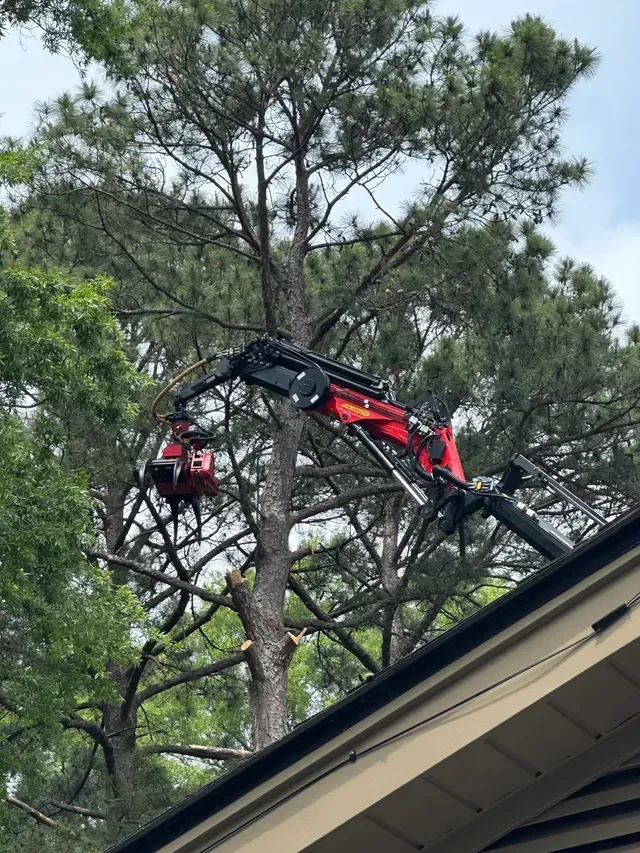 Crane grapple removing a beetle-killed pine near a residential roof in Eastern NC