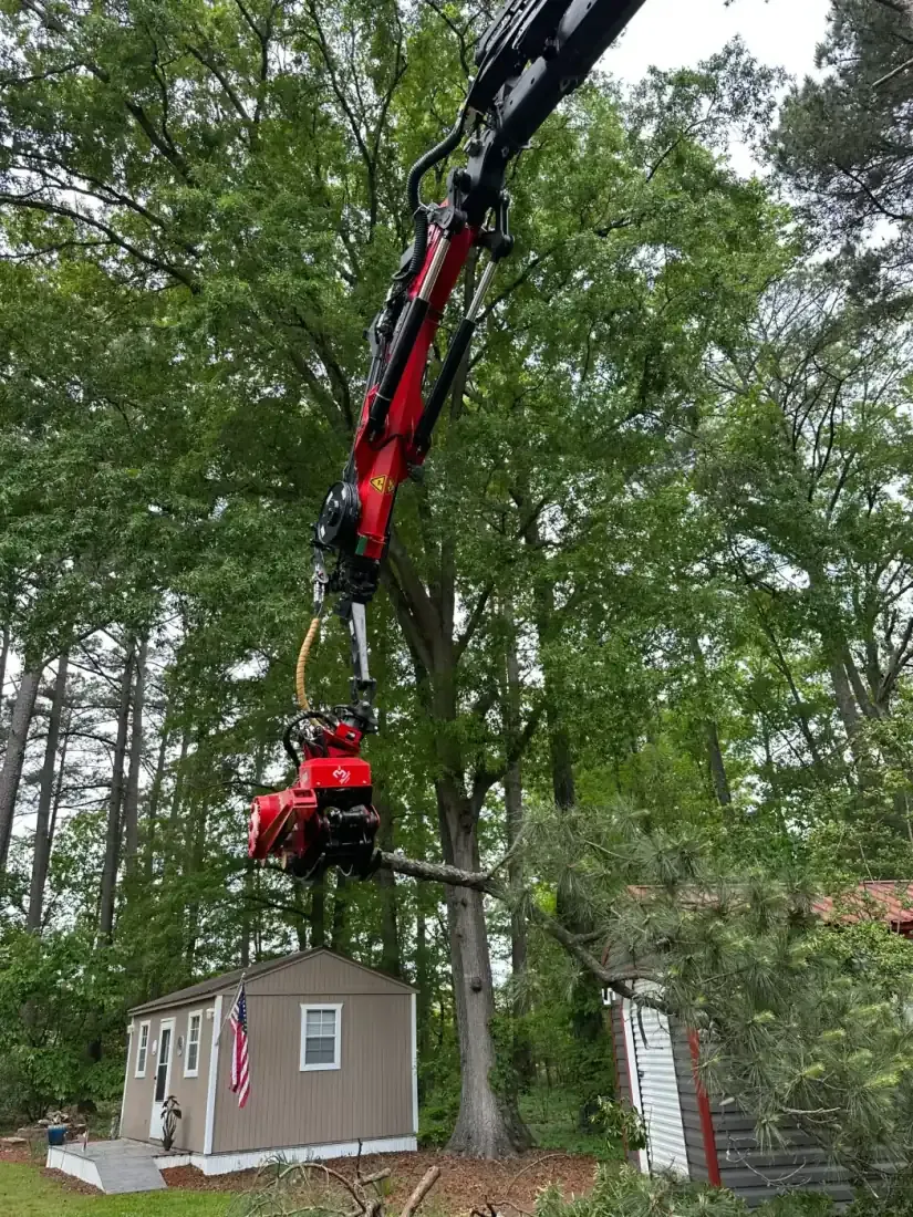 Crane removing a hazardous tree over a residential home in Eastern NC