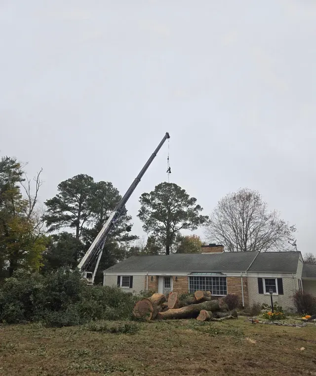 Crane lifting tree section over brick residential home during removal