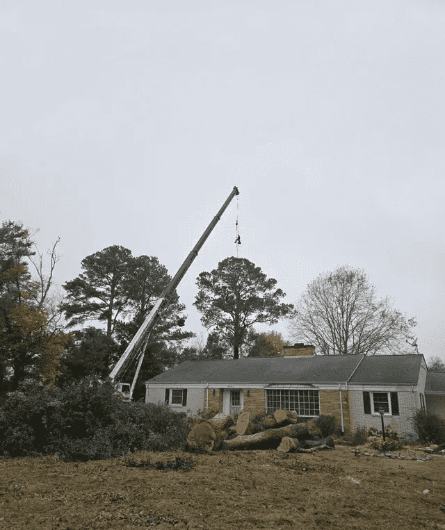 Crane lifting tree section over residential home near Nashville