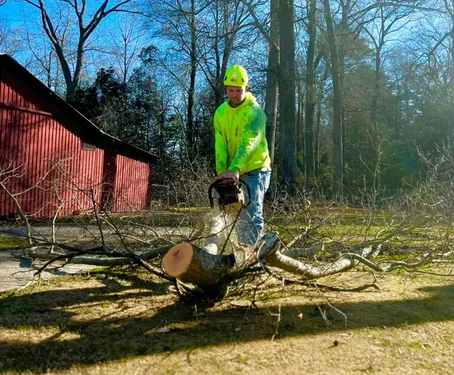 DC Tree Cutting crew member cutting through a felled tree trunk with a chainsaw on a residential job