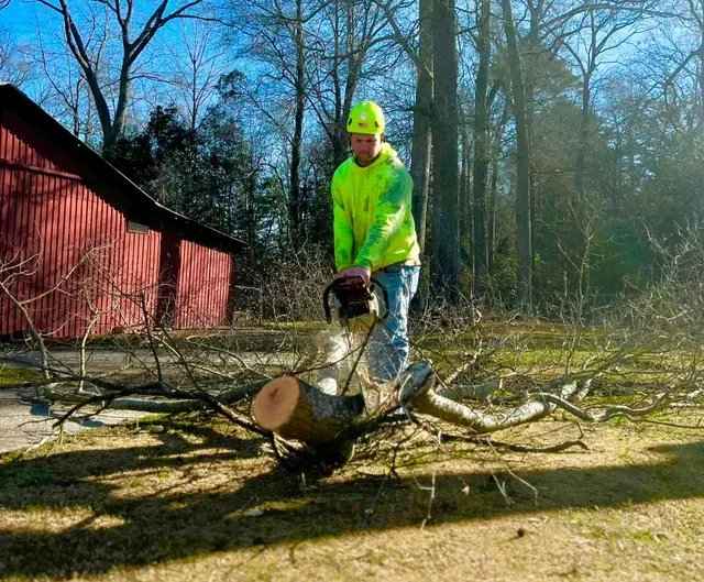 Crew member cutting felled tree with chainsaw on job site