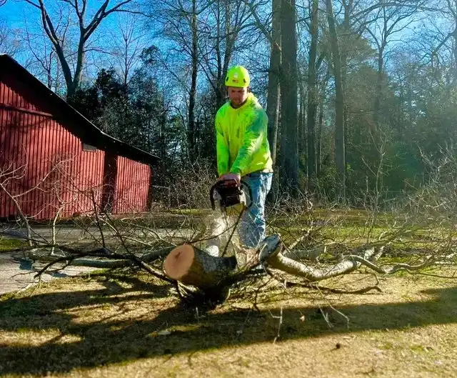 Crew member cutting through a felled tree with a chainsaw on a job site