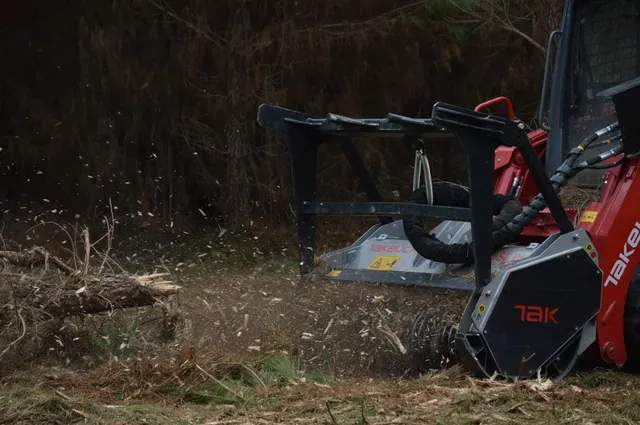 Cleared area after forestry mulching