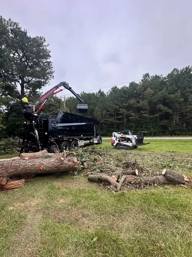 Grapple truck loading tree debris at rural clearing site