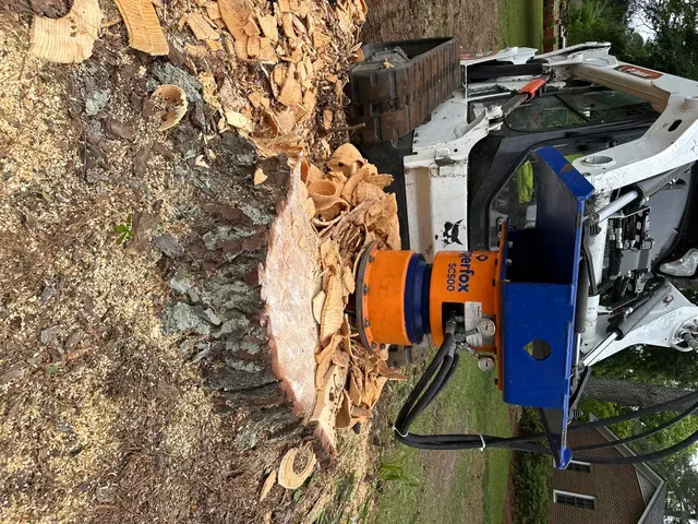 Stump Grinding Service in Eastern NC