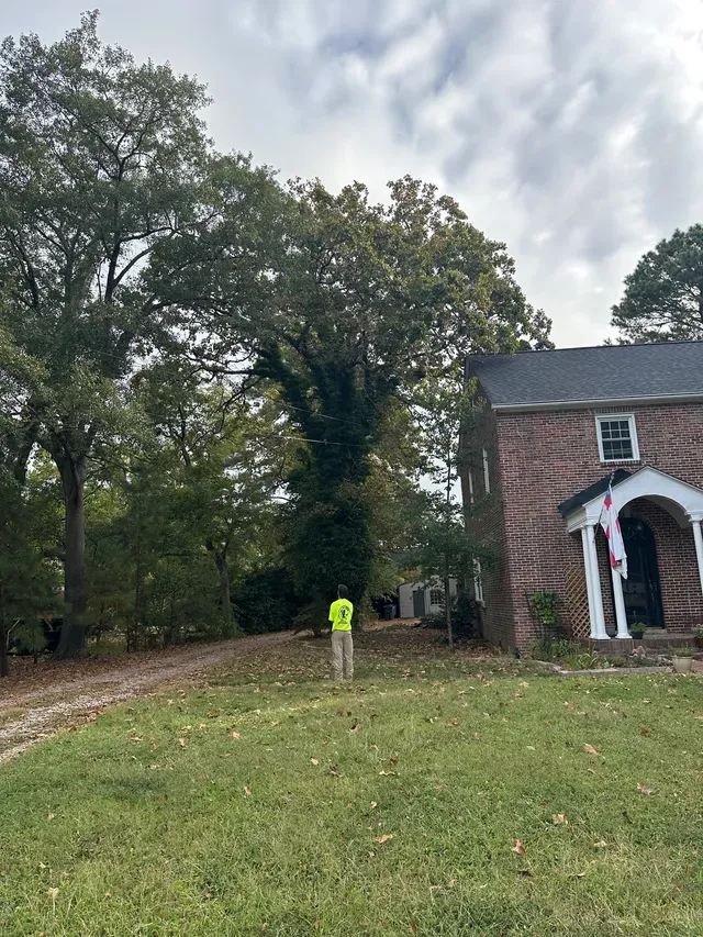 Crew assessing storm-damaged trees at a residential property
