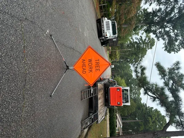 Tree Service Pricing Guide